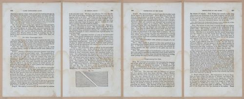 E342 - Elementary Geology - i11530-11531-11532-11533