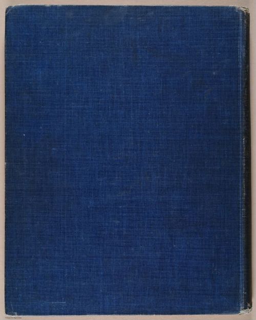 E344 - The Harrison Fisher Book 1907 - 11781