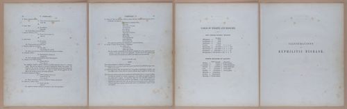 E345 - Illustrations of Syphilitic - i11852-11853-11854-11855
