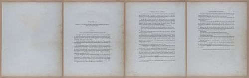 E345 - Illustrations of Syphilitic - i11856-11857-11858