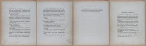 E345 - Illustrations of Syphilitic - i11866-11867-11868-11869