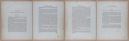E345 - Illustrations of Syphilitic - i11878-11879-11880-11881