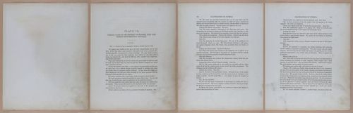 E345 - Illustrations of Syphilitic - i11904-11905-11906