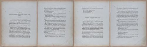 E345 - Illustrations of Syphilitic - i11922-11923-11924-11925