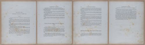 E345 - Illustrations of Syphilitic - i11937-11938-11939-11940