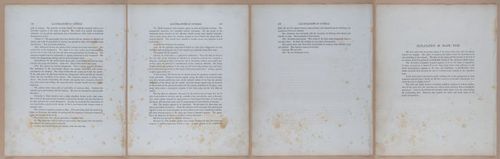 E345 - Illustrations of Syphilitic - i11981-11982-11983-11984