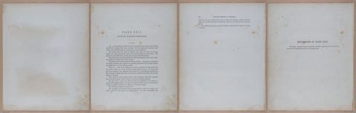 E345 - Illustrations of Syphilitic - i12028-12029-12030