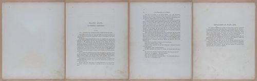 E345 - Illustrations of Syphilitic - i12046-12047-12048