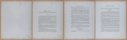 E345 - Illustrations of Syphilitic - i12066-12067-12068