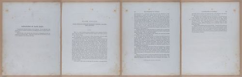 E345 - Illustrations of Syphilitic - i12094-12095-12096-12097