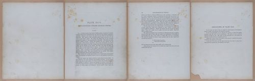 E345 - Illustrations of Syphilitic - i12136-12137-12138