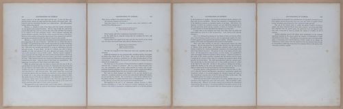 E345 - Illustrations of Syphilitic - i12142-12143-12144-12145