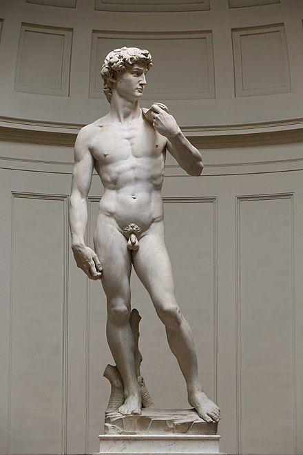 E355 - David - Michelangelo - 1501/1504