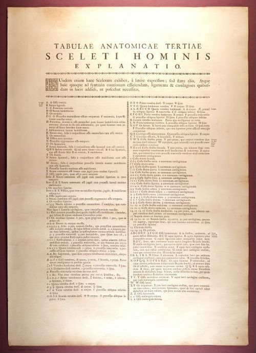 E353 - Tabulae Sceleti - i0812