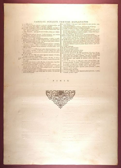E353 - Tabulae Sceleti - i0813