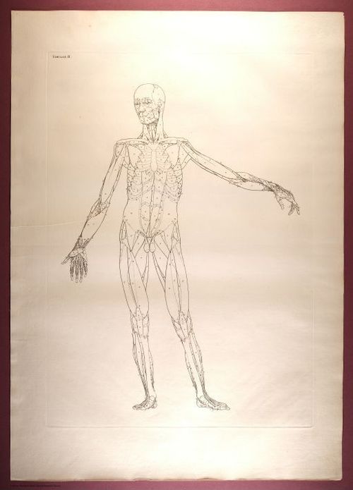 E353 - Tabulae Sceleti - i0815