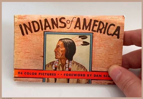 E349 - Indians of America - i0891(1)