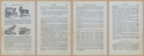 E348 - Mitchell's Geography 1845 - 12765-12766-12767-12768
