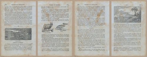 E348 - Mitchell's Geography 1845 - 12825-12826-12827-12828