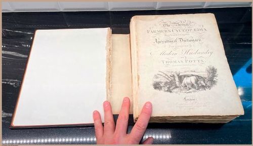 E357 - Farmer_s Cyclopaedia - 3726