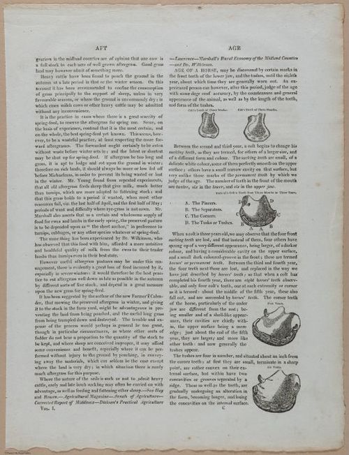 E357 - Farmer_s Cyclopaedia - i13697