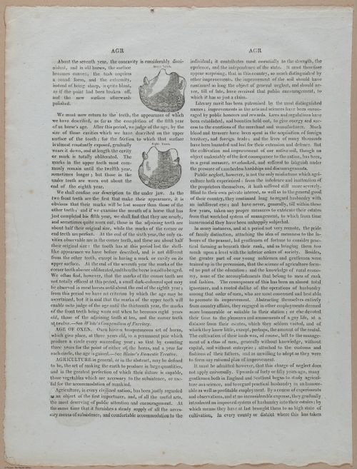 E357 - Farmer_s Cyclopaedia - i13698