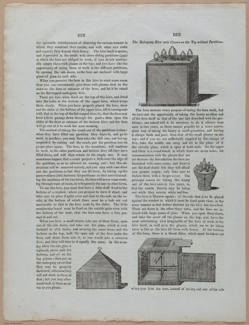 E357 - Farmer_s Cyclopaedia - i13703