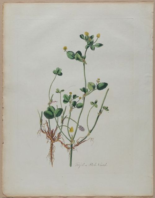 E357 - Farmer_s Cyclopaedia - i13713
