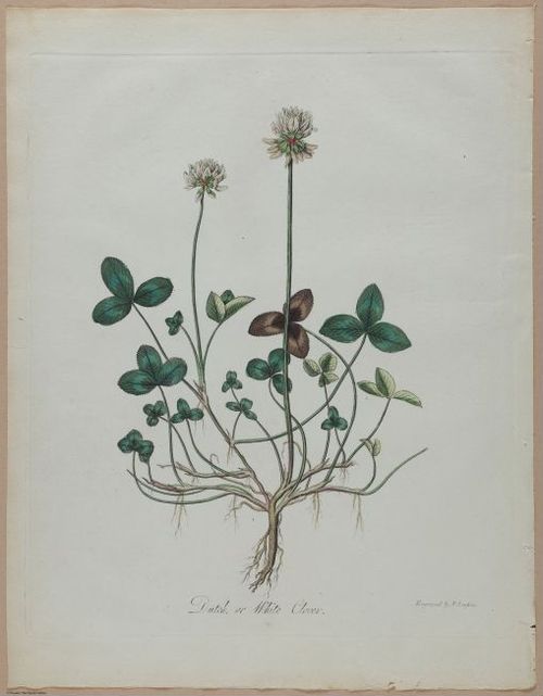 E357 - Farmer_s Cyclopaedia - i13714
