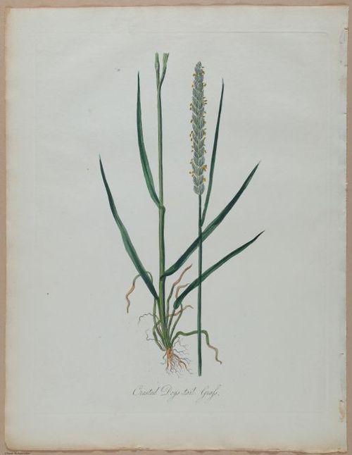 E357 - Farmer_s Cyclopaedia - i13716