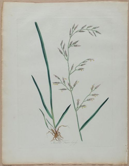 E357 - Farmer_s Cyclopaedia - i13717