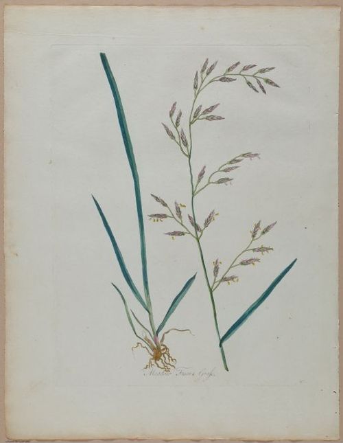 E357 - Farmer_s Cyclopaedia - i13718