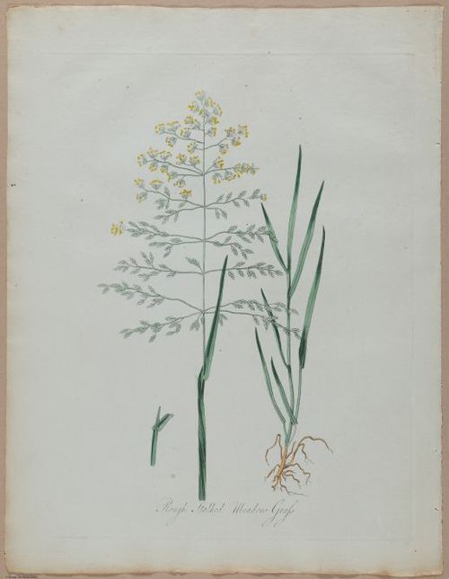 E357 - Farmer_s Cyclopaedia - i13719