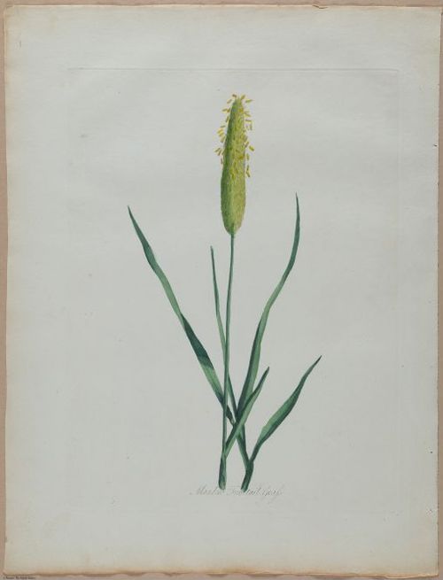 E357 - Farmer_s Cyclopaedia - i13720