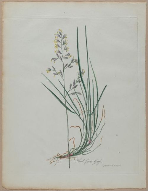 E357 - Farmer_s Cyclopaedia - i13721