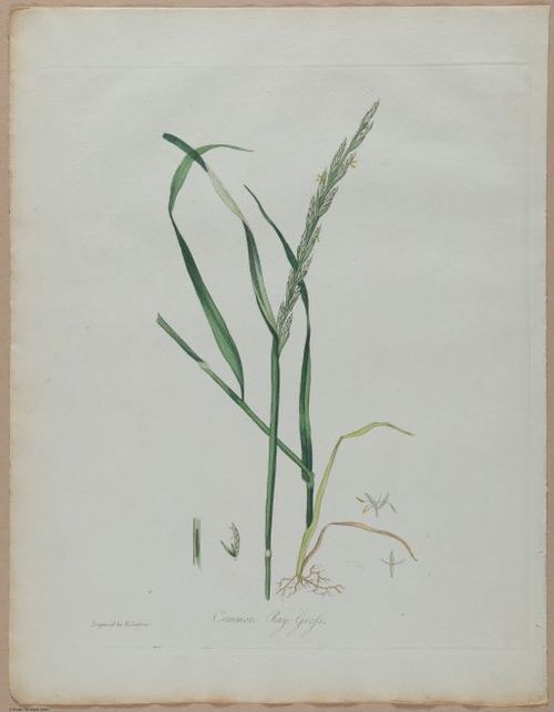 E357 - Farmer_s Cyclopaedia - i13722