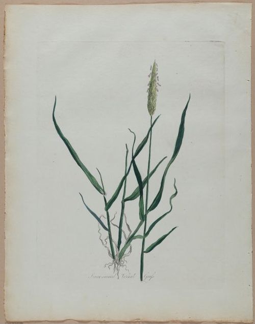 E357 - Farmer_s Cyclopaedia - i13723