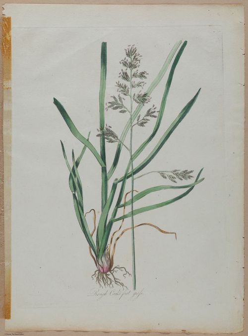 E357 - Farmer_s Cyclopaedia - i13724