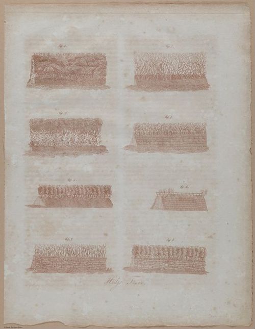 E357 - Farmer_s Cyclopaedia - i13728