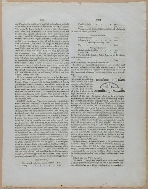 E357 - Farmer_s Cyclopaedia - i13742