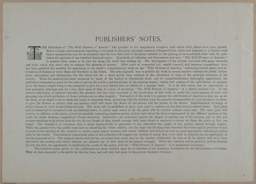 E356 - Wildflowers of America - i13580