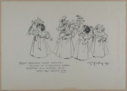 E356 - Wildflowers of America - i13582