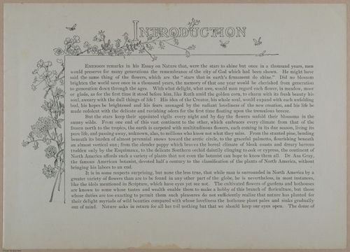 E356 - Wildflowers of America - i13583