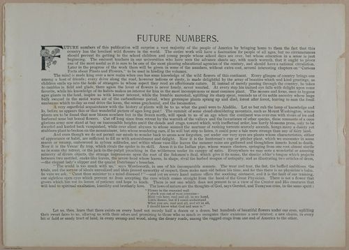 E356 - Wildflowers of America - i13612