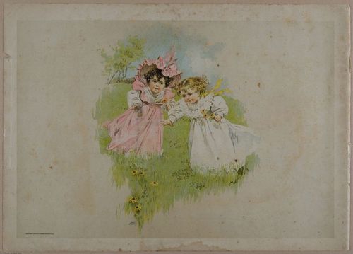 E356 - Wildflowers of America - i13613