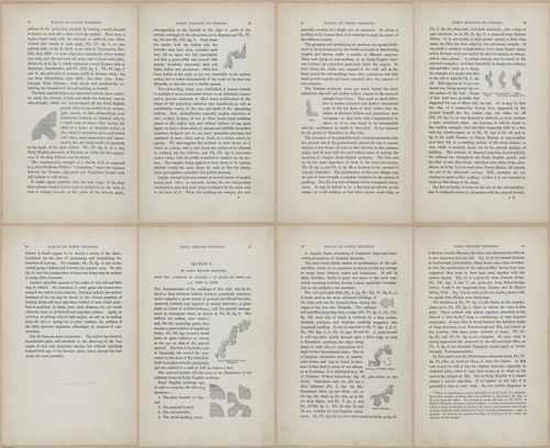 E362 - Gothic Moldings - i14099-14100-14101-14102-14103-14104-14105-14106