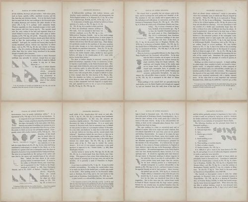 E362 - Gothic Moldings - i14115-14116-14117-14118-14119-14120-14121-14122