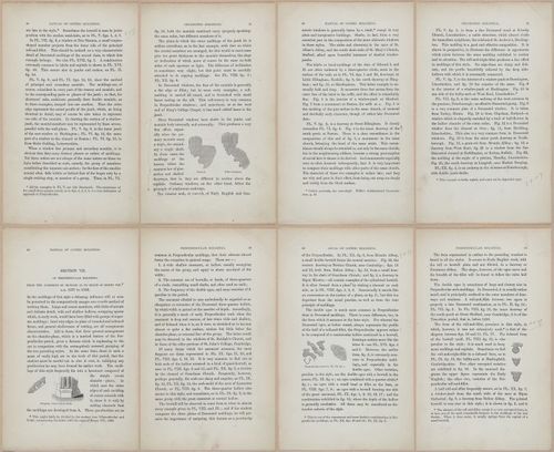 E362 - Gothic Moldings - i14123-14124-14125-14126-14127-14128-14129-14130
