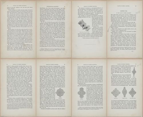 E362 - Gothic Moldings - i14131-14132-14133-14134-14135-14136-14137-14138
