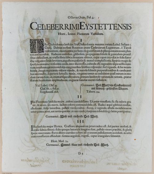 E374 - Various Rich Breiman - i16313-16314